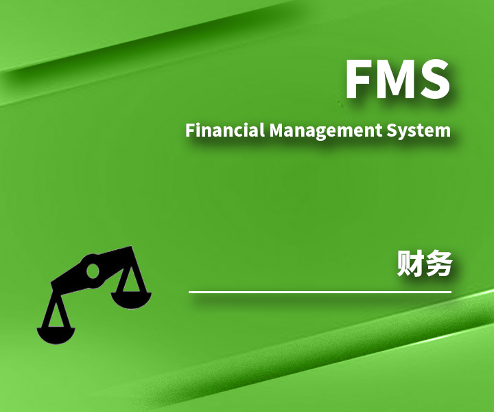 财务管理系统FMS